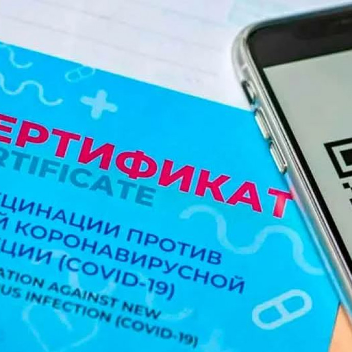 С 15 ноября учреждения культуры начнут работать при предъявлении QR-кода